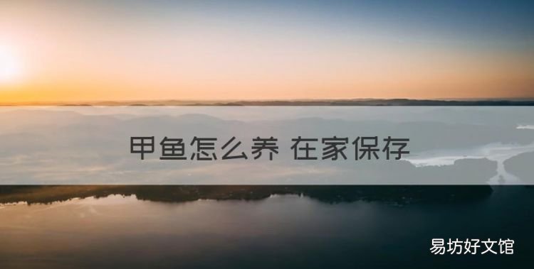 甲鱼怎么养 在家保存,甲鱼放在家里两天要怎么养