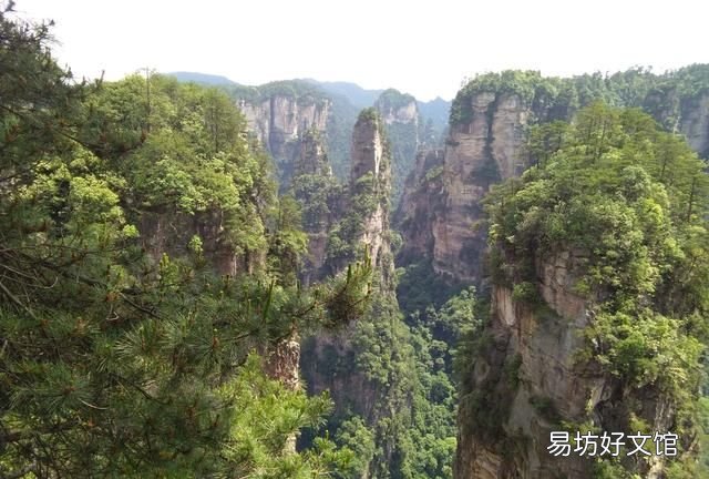 湖南张家界是什么样,湖南张家界旅游