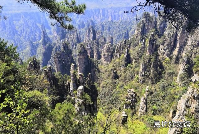 湖南张家界是什么样,湖南张家界旅游