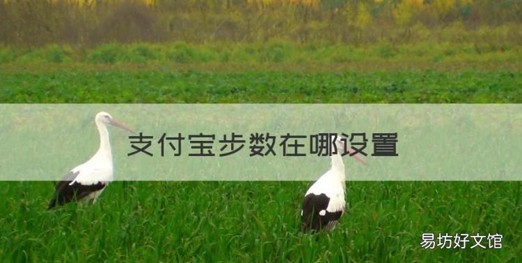 支付寶步數在哪設置，支付寶步數來源怎么設置為華為運動