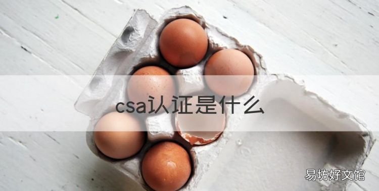 csa認證是什么