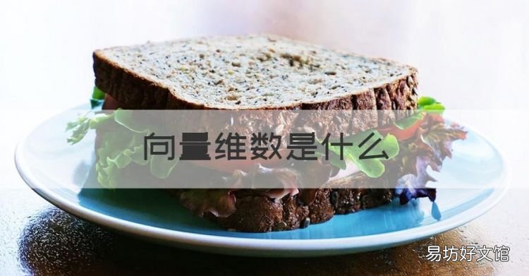 向量維數是什么，向量的維數是什么意思