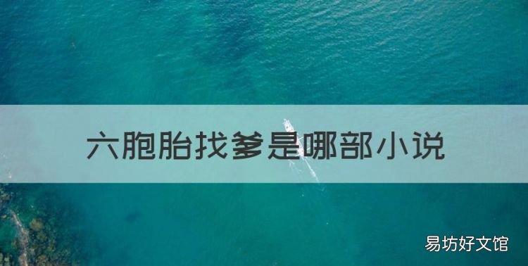 六胞胎找爹是哪部小说