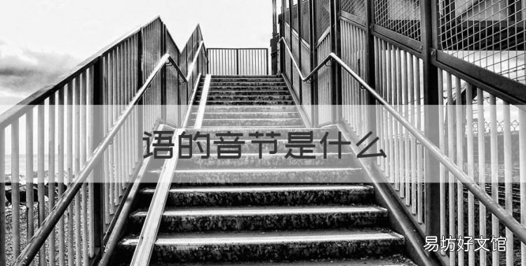 语的音节是什么