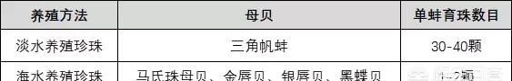 什么是珍珠棉发泡机 什么是珍珠
