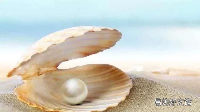 什么是珍珠棉发泡机 什么是珍珠