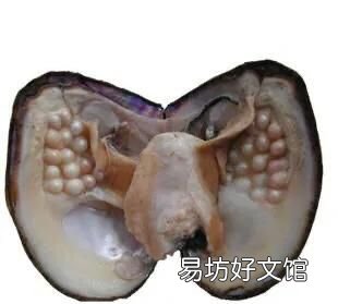 什么是珍珠棉发泡机 什么是珍珠