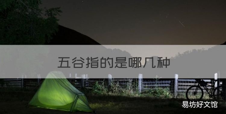 五谷指的是哪几种,五谷是哪五谷稻麦黍菽稷读音