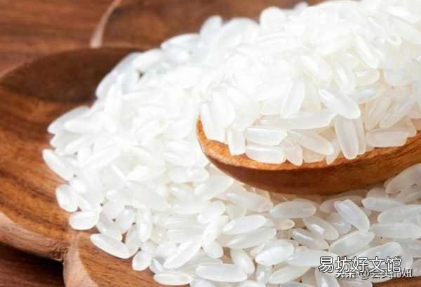 口碑最好的十大电饭锅推荐 高压电饭锅哪个品牌质量好