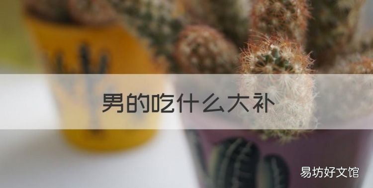 男的吃什么大补,男性壮阳补肾吃什么药好