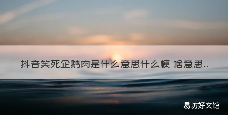 企鹅肉的梗出自哪里啊,抖音笑死企鹅肉是什么意思什么梗 啥意思