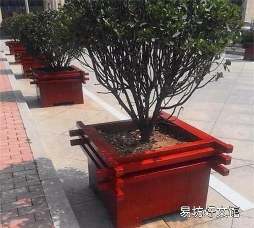 用什么材质的花盆养花好