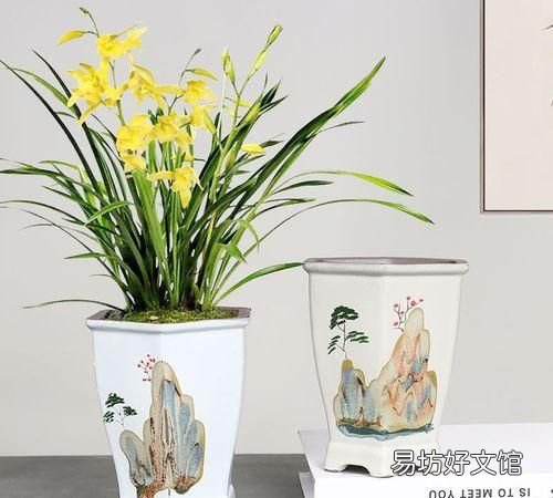 用什么材质的花盆养花好