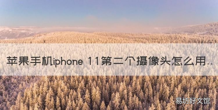 苹果手机iphone 第二个摄像头怎么用