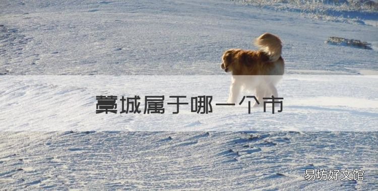 藁城属于哪一个市,河北藁城属于哪个市