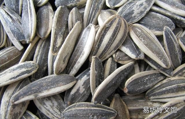 向日葵是怎么知道太阳的方向