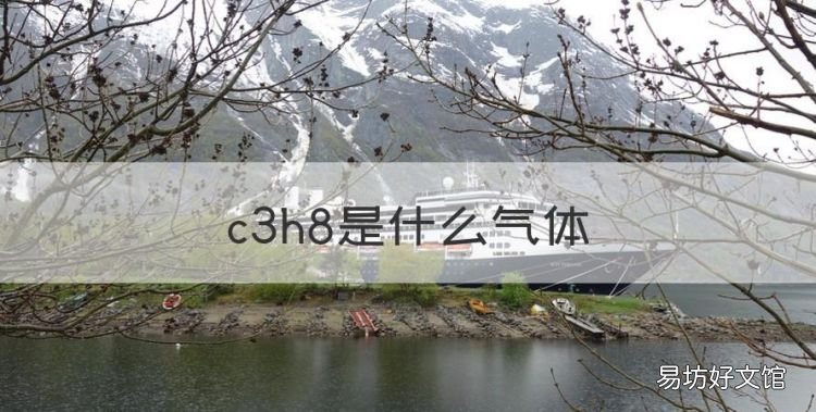 c3h8是什么气体,c3h8o3是什么物质