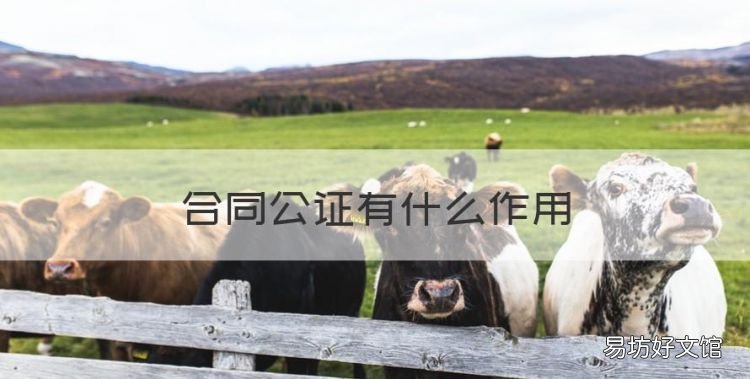 合同公证有什么作用,合同公证有什么好处