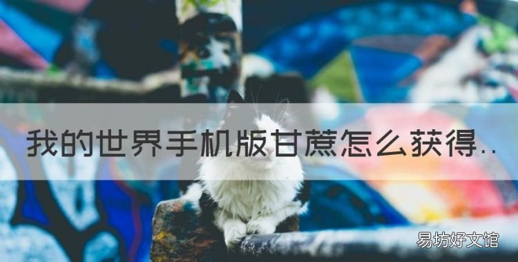 我的世界手机版甘蔗怎么获得