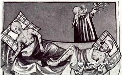 精油和香水的区别是什么,纯露和精油的区别