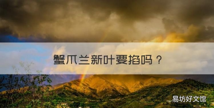 蟹爪兰新叶要掐,蟹爪兰夏天出新叶要掐吗