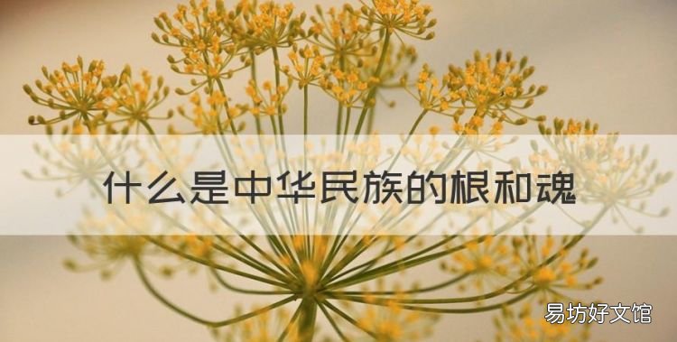 什么是中华民族的根和魂