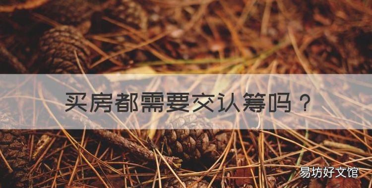 买房都需要交认筹