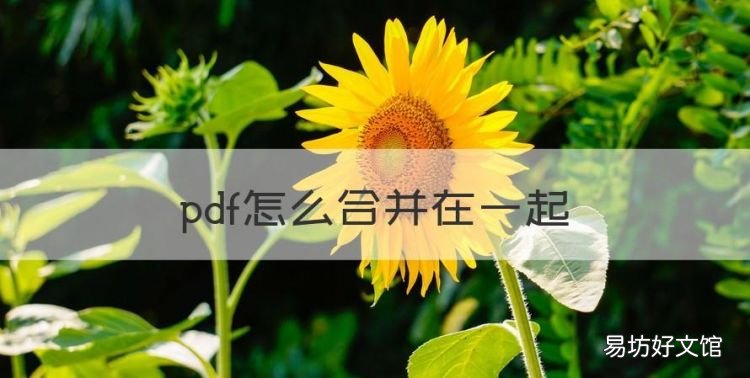 pdf怎么合并在一起，如何将pdf合并在一起