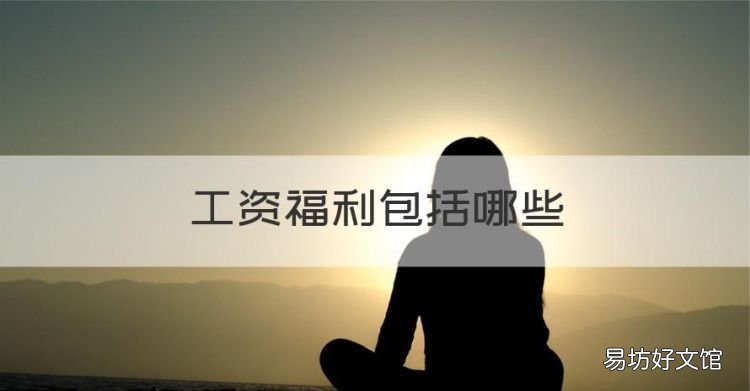 工资福利包括哪些，其他工资福利支出包括哪些内容