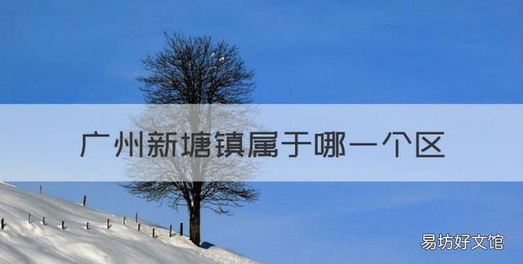 广州新塘镇中心在哪里,广州新塘镇属于哪一个区