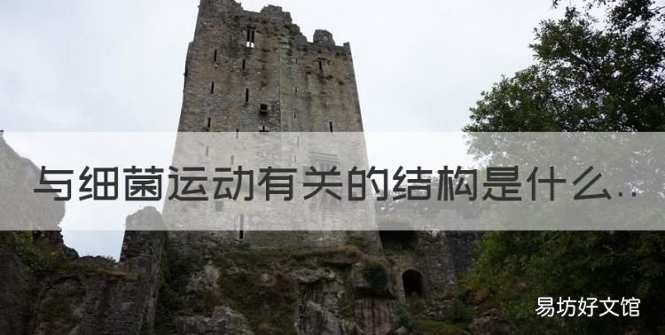 与细菌运动有关的结构是什么