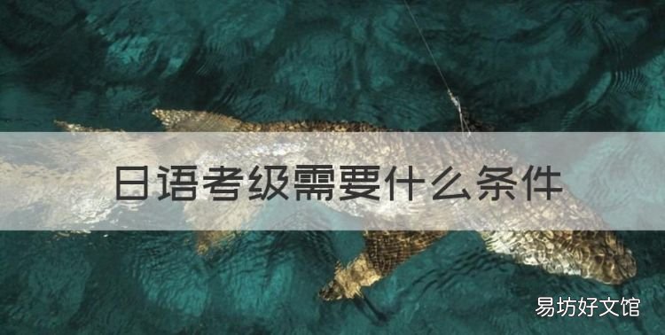 日语考级需要什么条件，日语等级考试是什么时间