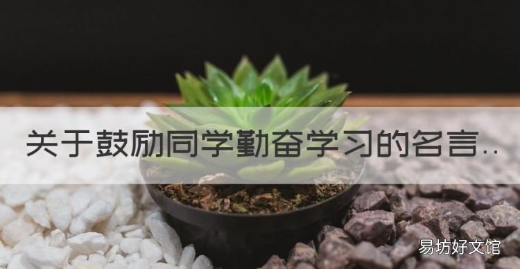 关于鼓励同学勤奋学习的名言