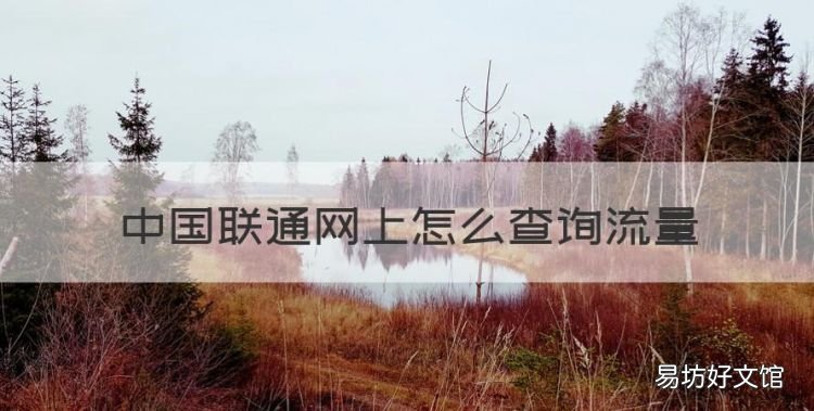 联通卡怎么查流量剩余,中国联通网上怎么查询流量