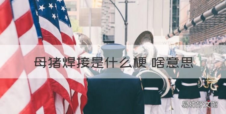 母猪焊接是什么梗 啥意思,母猪羞愧是什么意思 母猪羞愧什么梗