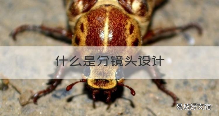 什么叫做分镜头,什么是分镜头设计
