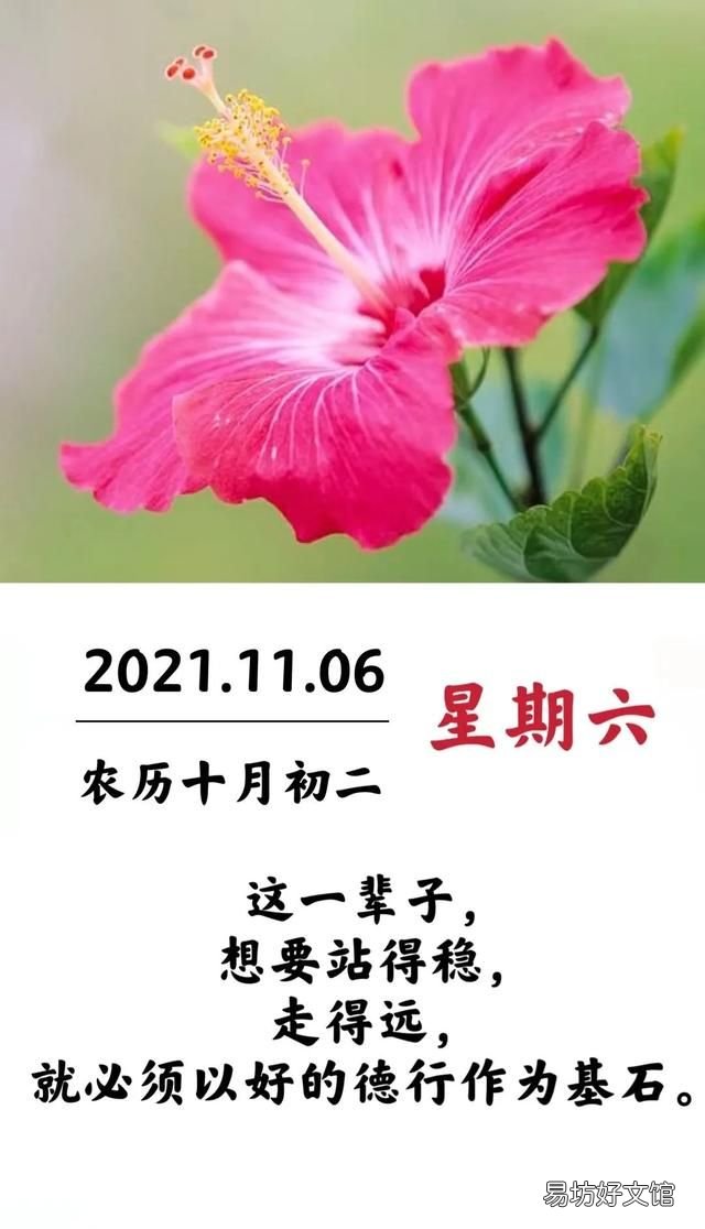 新的一天猜谜语 早安成语猜一猜