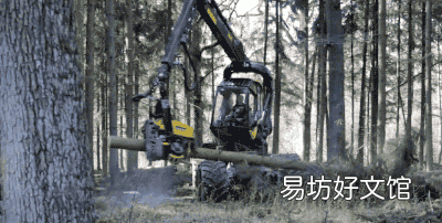 一次性筷子有哪些毒 一次性筷子到底有哪些毒