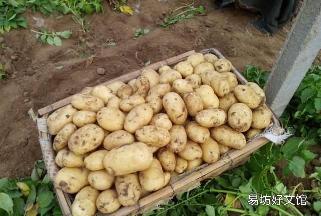 东北平原和华北平原相比哪里更湿润为什么