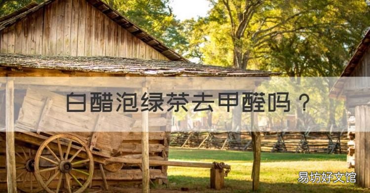 白醋泡绿茶去甲醛,白醋除甲醛的方法如下