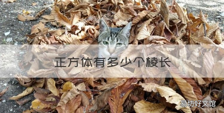 正方体有几个棱长,正方体有多少个棱长
