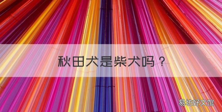 秋田犬是柴犬,柴犬跟秋田犬是一个品种吗