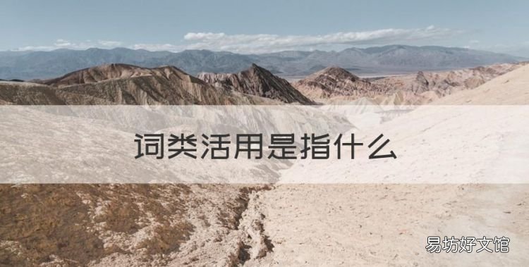 词类活用是指什么,词类活用是什么意思