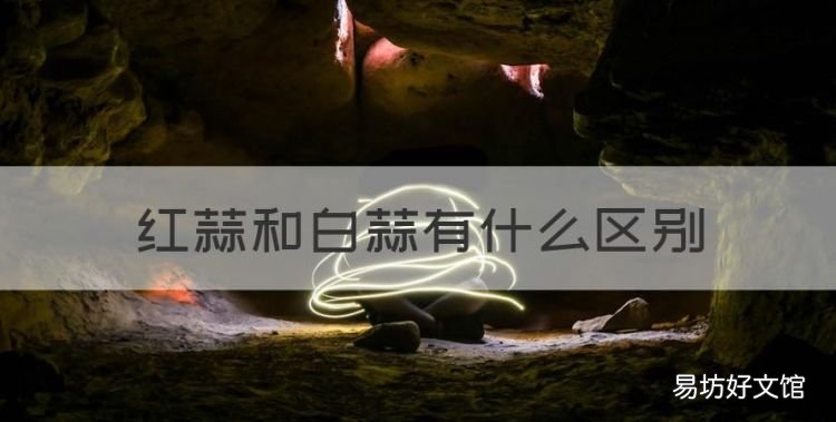 白蒜的功效和作用,红蒜和白蒜有什么区别
