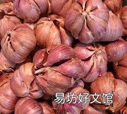白蒜的功效和作用,红蒜和白蒜有什么区别