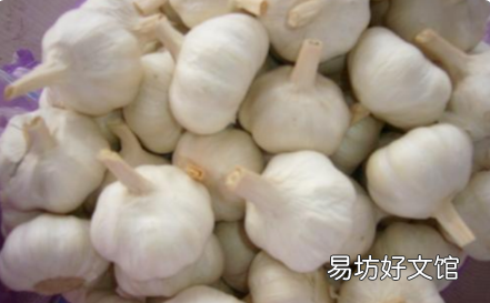 白蒜的功效和作用,红蒜和白蒜有什么区别