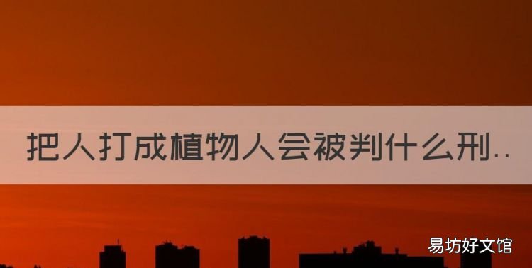 把人打成植物人会被判什么刑