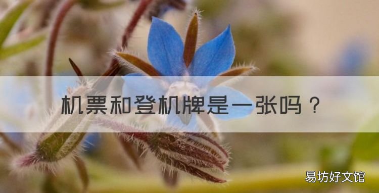机票和登机牌是一张,登机牌和机票是同一张么