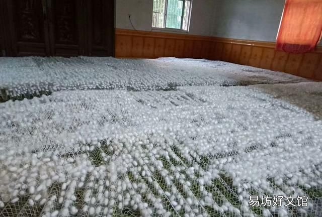 蚕丝被好不好,蚕丝被买到不好的