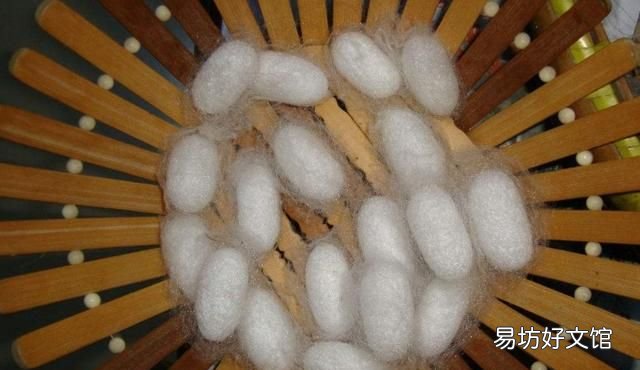 蚕丝被好不好,蚕丝被买到不好的